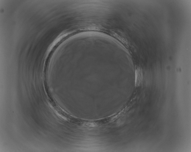 X0000081360195200702020148