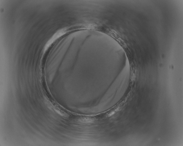 X0000081360198200702020148