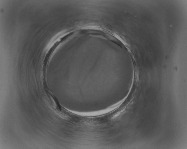 X0000081360199200702020148