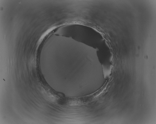 X0000081360200200702020148