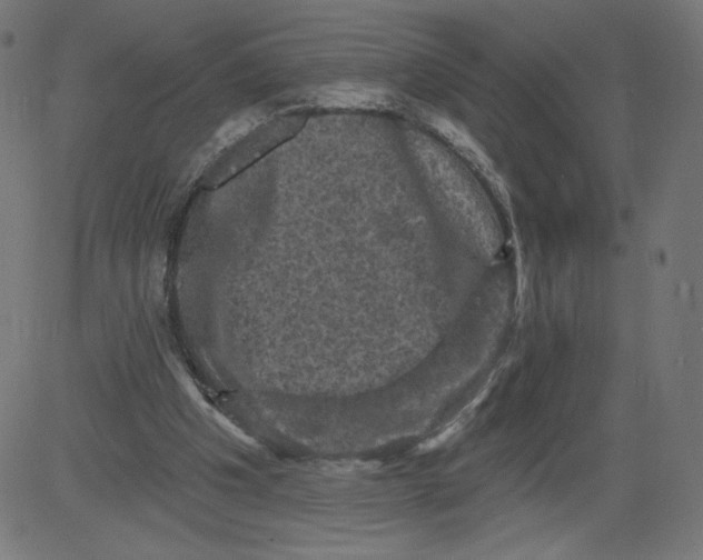 X0000081360201200702020148