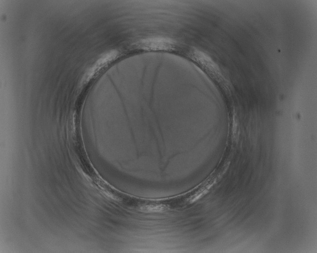 X0000081360202200702020148