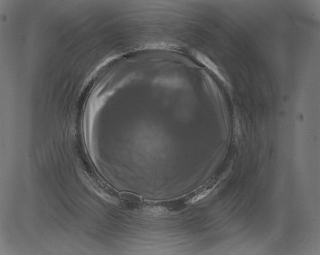 X0000081360203200702020148