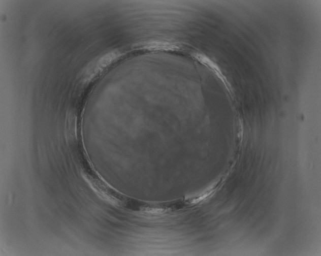 X0000081360205200702020148