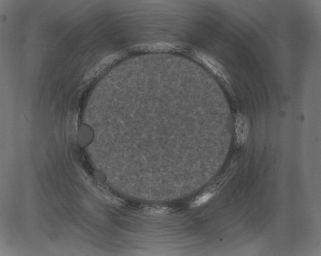 X0000081360206200702020148