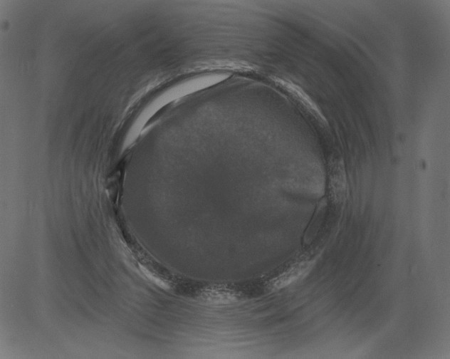 X0000081360207200702020148