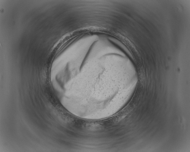 X0000081360208200702020148