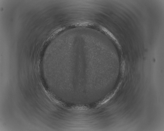 X0000081360209200702020148