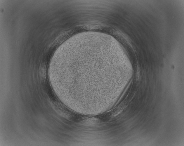 X0000081360210200702020148