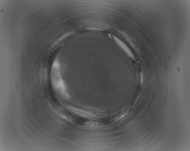 X0000081360211200702020148