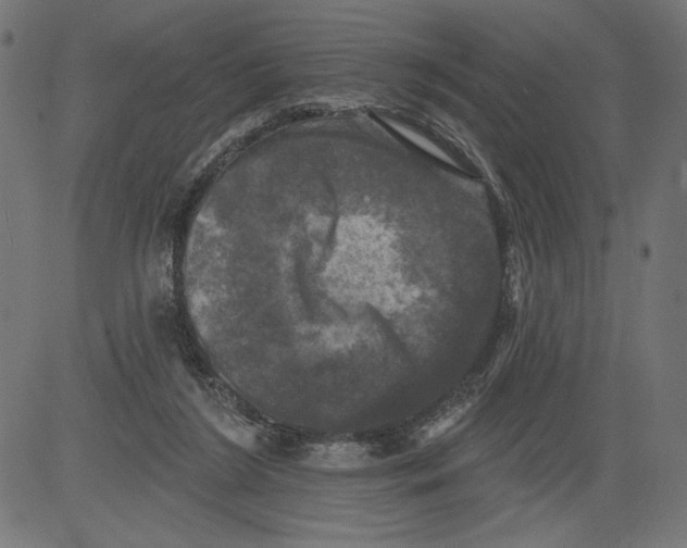 X0000081360212200702020148