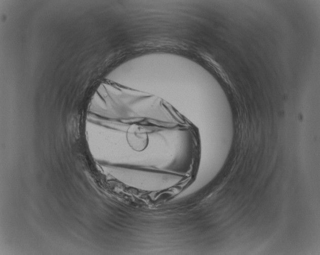 X0000081360213200702020148