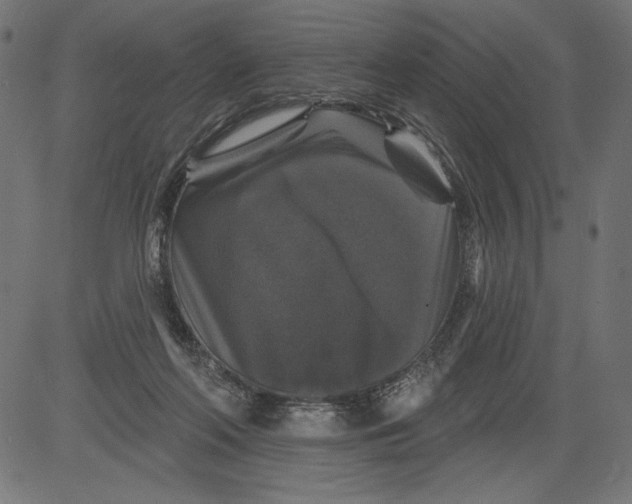 X0000081360214200702020148