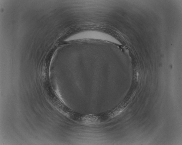 X0000081360215200702020148