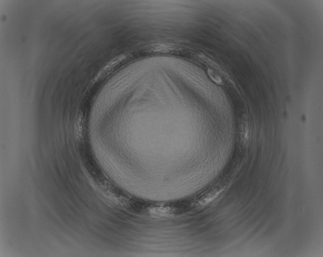 X0000081360216200702020148