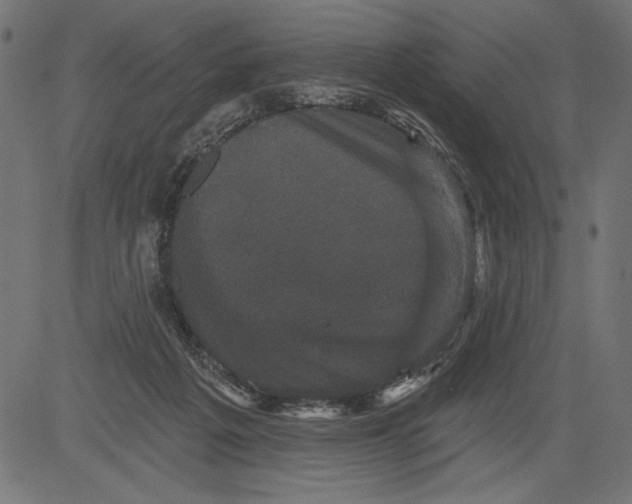 X0000081360217200702020148