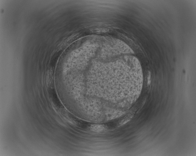 X0000081360218200702020148