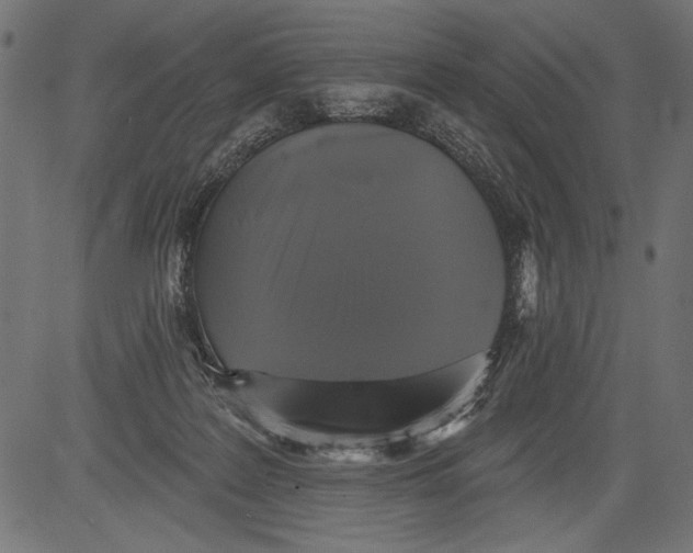 X0000081360219200702020148