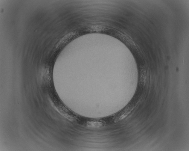 X0000081360220200702020148