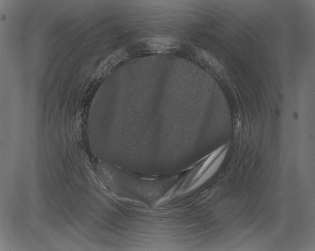 X0000081360221200702020148