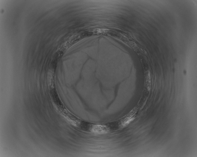 X0000081360222200702020148