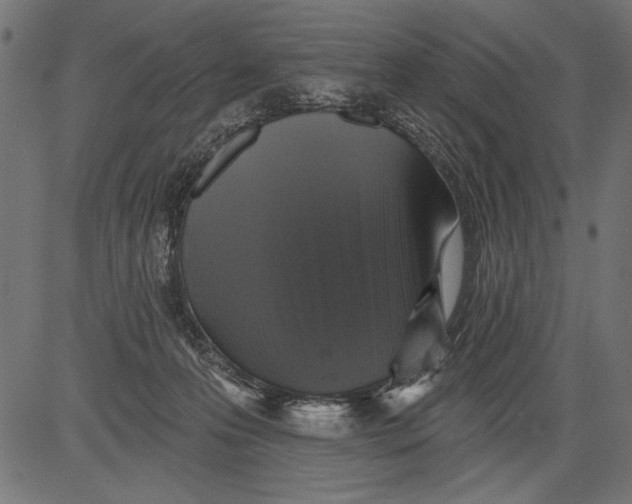 X0000081360223200702020148