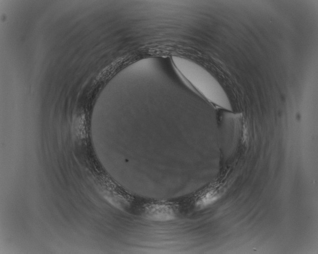 X0000081360224200702020148