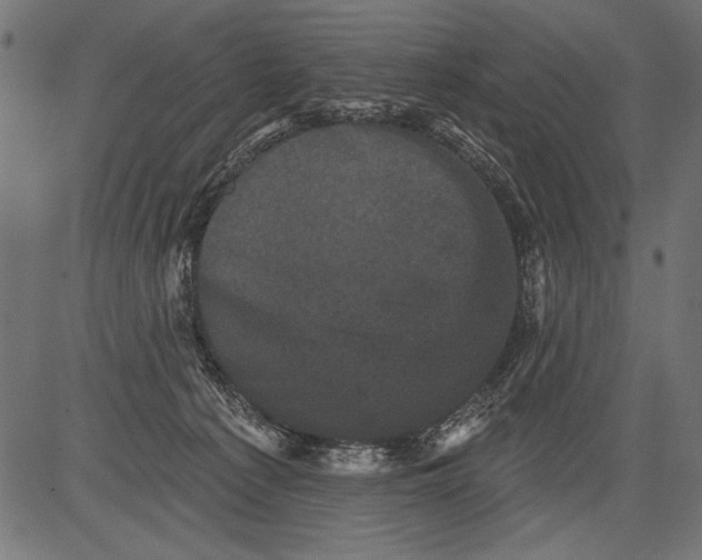 X0000081360225200702020148