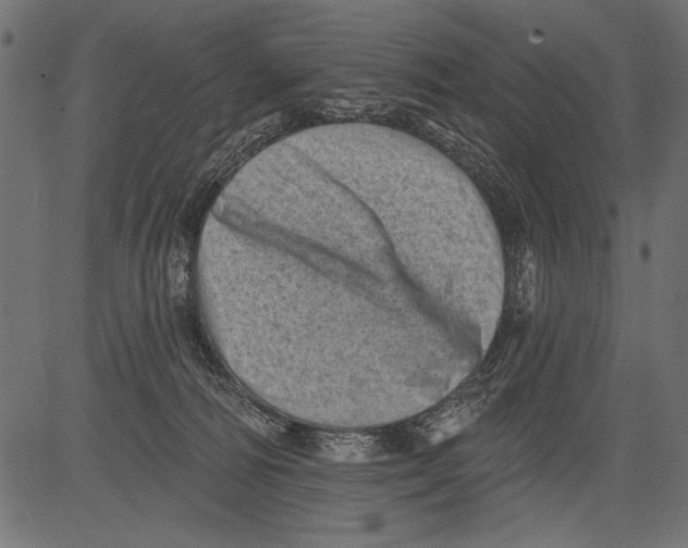 X0000081360226200702020148