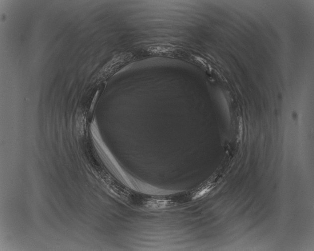 X0000081360227200702020148