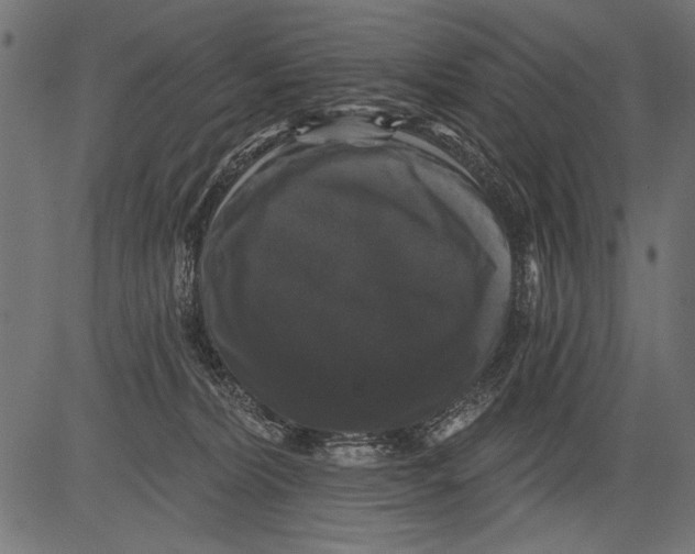 X0000081360228200702020148