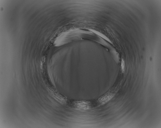 X0000081360229200702020148