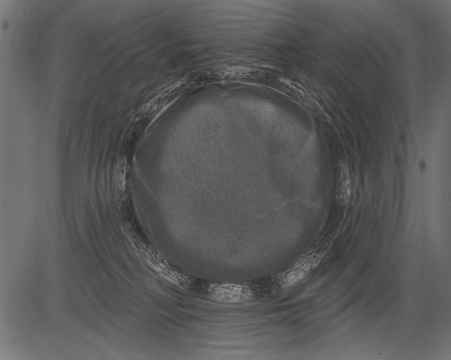 X0000081360230200702020148