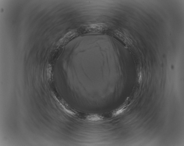 X0000081360231200702020148