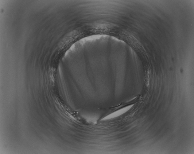 X0000081360232200702020148