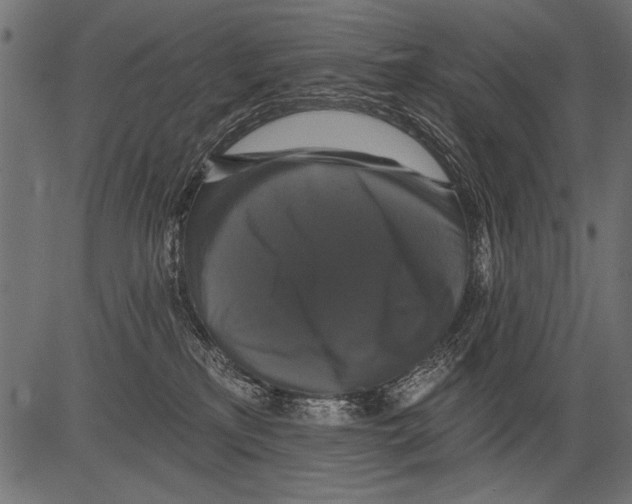 X0000081360233200702020148