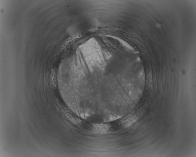 X0000081360234200702020148