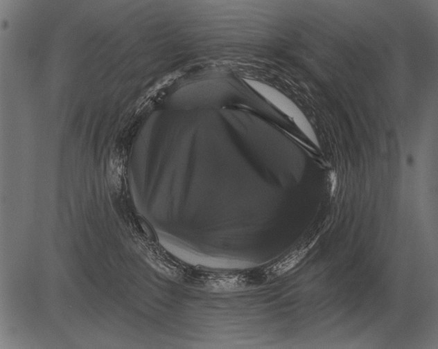 X0000081360235200702020148