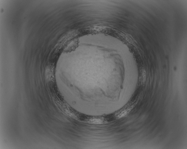 X0000081360236200702020148