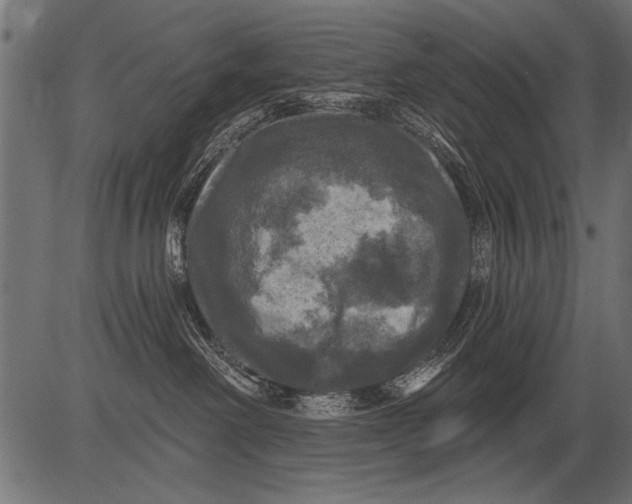 X0000081360238200702020148