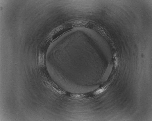 X0000081360239200702020148