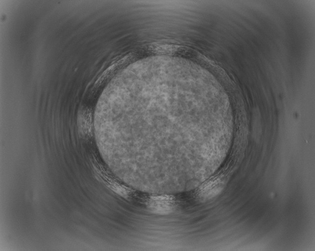 X0000081360240200702020148