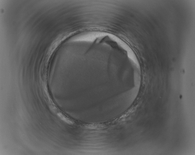 X0000081360241200702020147