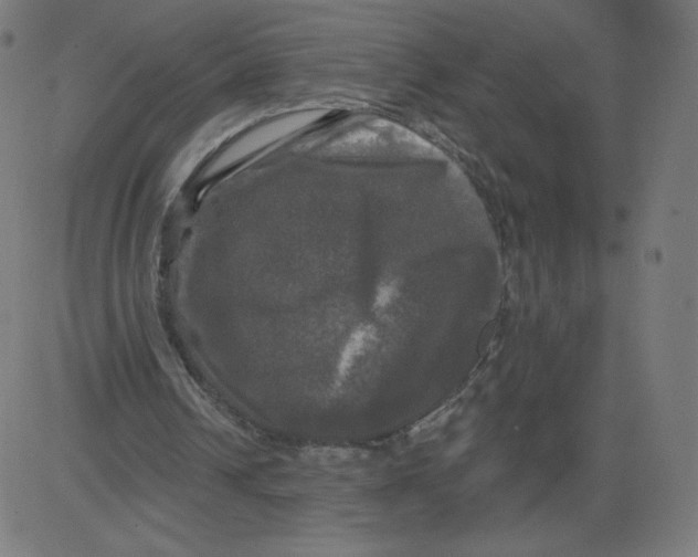 X0000081360242200702020147