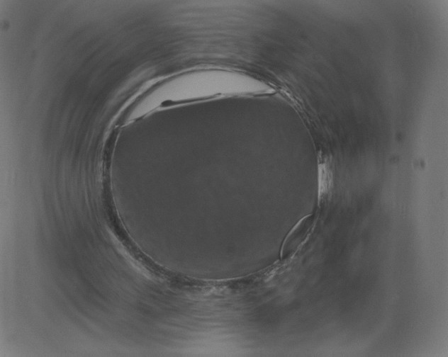 X0000081360243200702020147