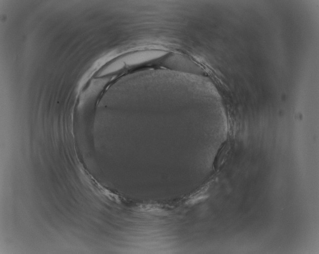 X0000081360244200702020147