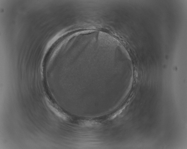 X0000081360246200702020147