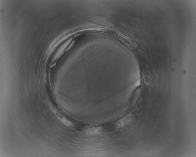 X0000081360247200702020147