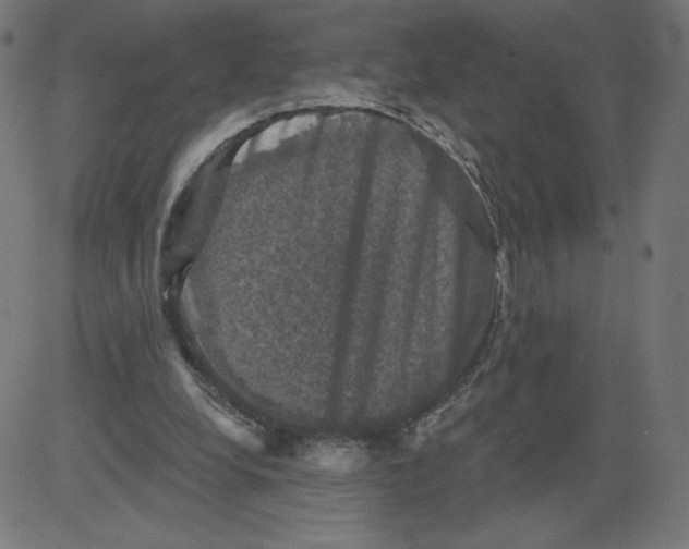 X0000081360248200702020147