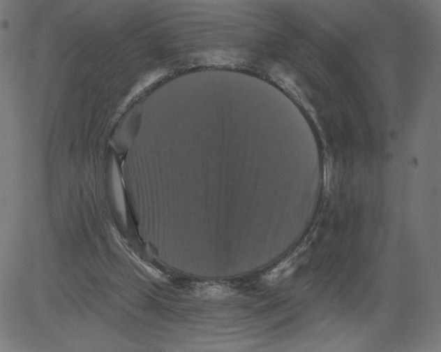 X0000081360249200702020147